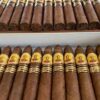Bolivar Petit Belicoso 2009 Limited Edition