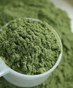 Buy-Mescaline-Powder