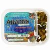 PSILOCYBE ATLANTIS