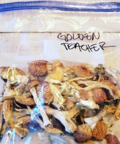 Goldenteacher