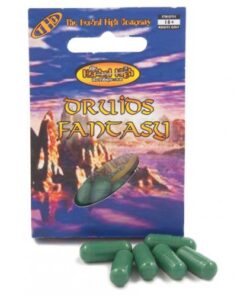 Druids Fantasy