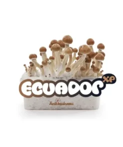 Ecuador Mushroom Grow Kit