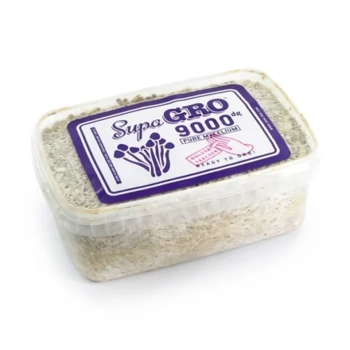 Golden-Teacher-Supa-Grow-Kit.webp