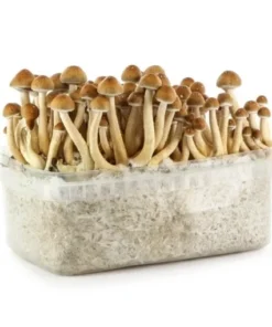 Hawaiian Supa Grow Kit