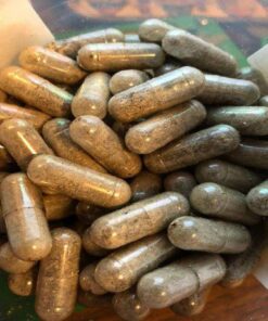 PSILOCYBIN MUSHROOM CAPSULES