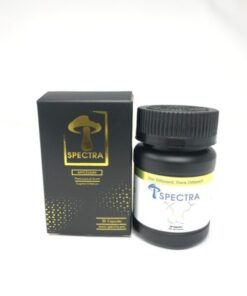 SPECTRA MYCELIUM – Gold | 200mg