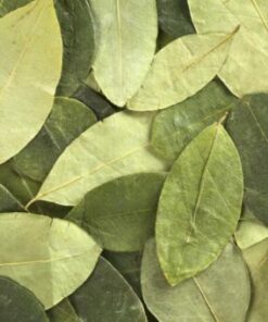 Coca Leaves 100 gr