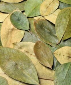 Coca Leaves 200 gr